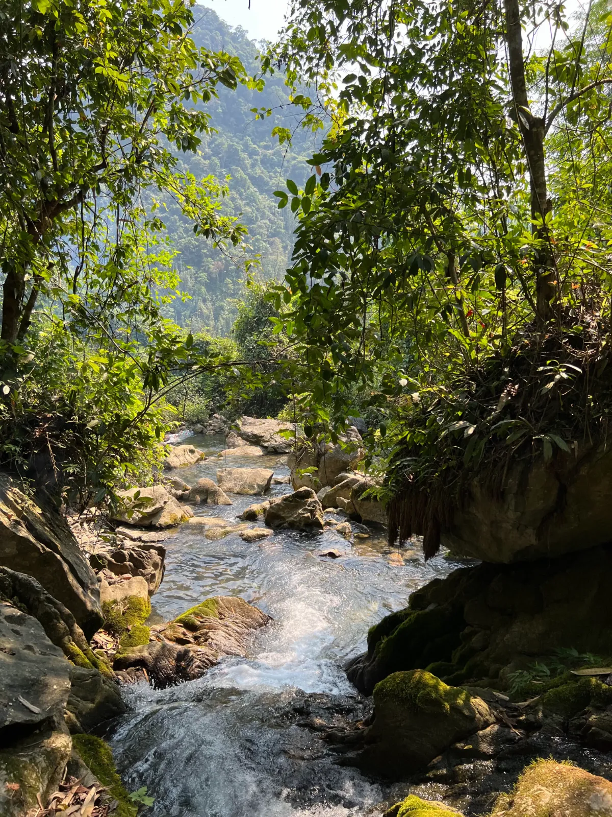 Suối bó Hâng - Vân Sơn