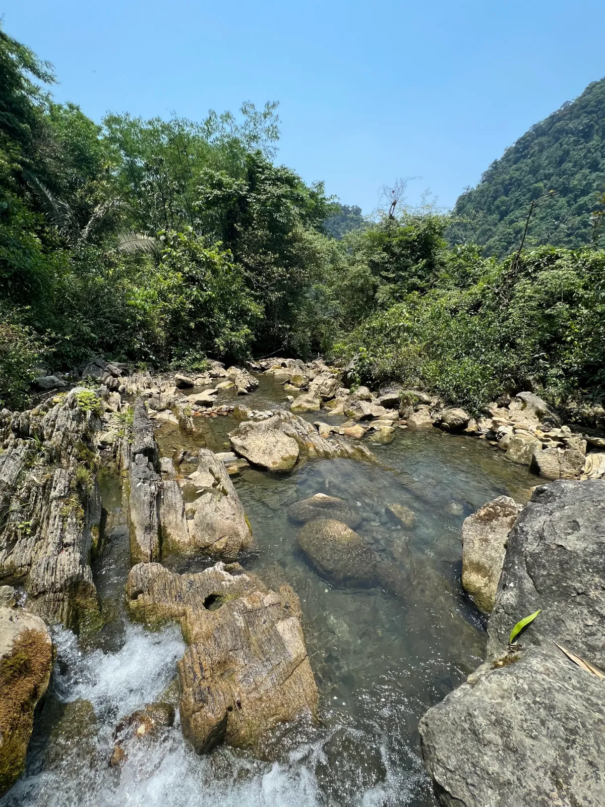 Suối bó Hâng - Vân Sơn
